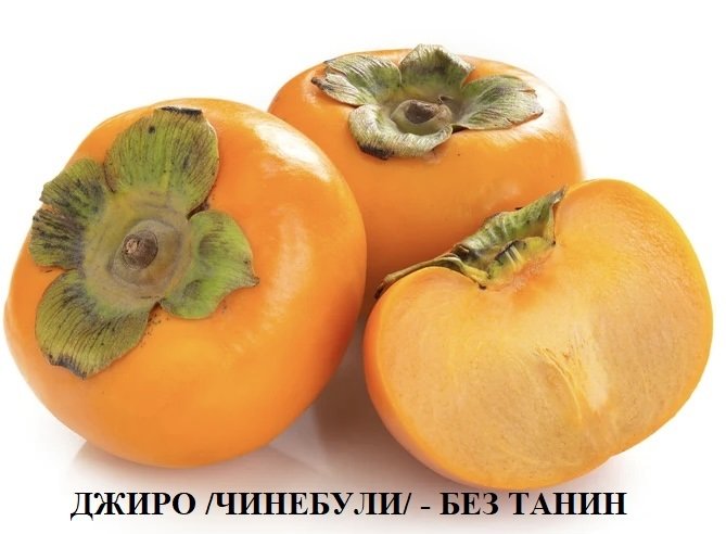ДЖИРО /ЧИНЕБУЛИ/