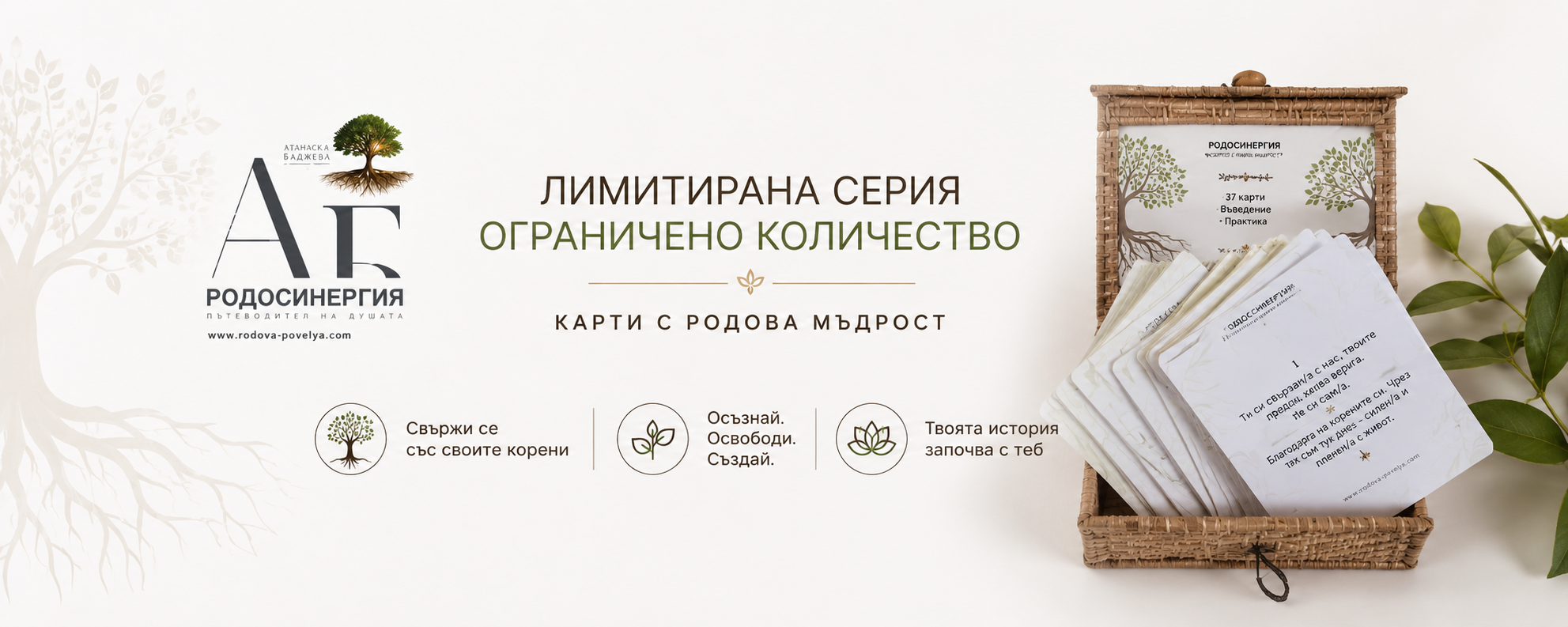 Карти РОДОСИНЕРГИЯ