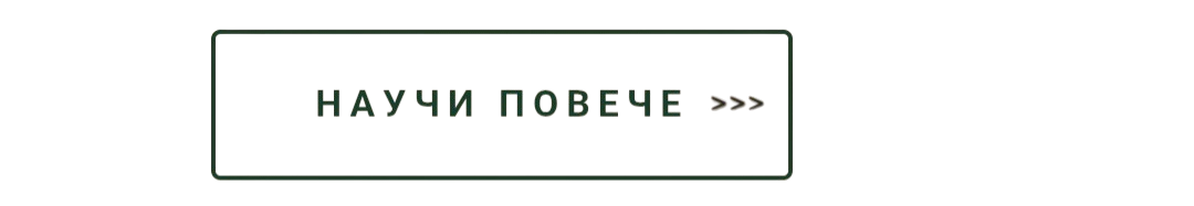 Холистичен родов терапевт