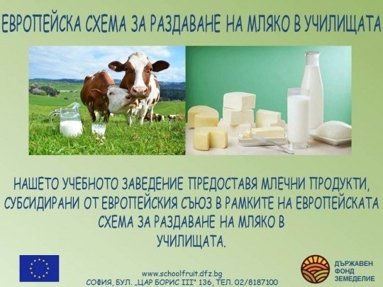 ПРОЕКТИ