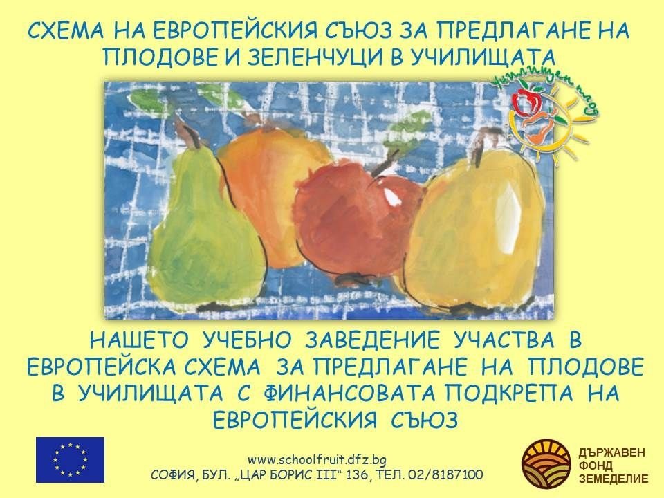 ПРОЕКТИ