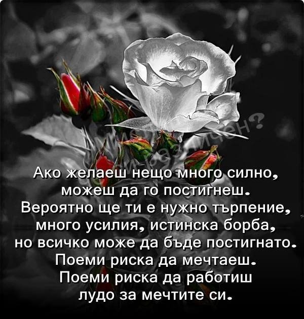 togeo.alle.bg сайт на Тодор Георгиев