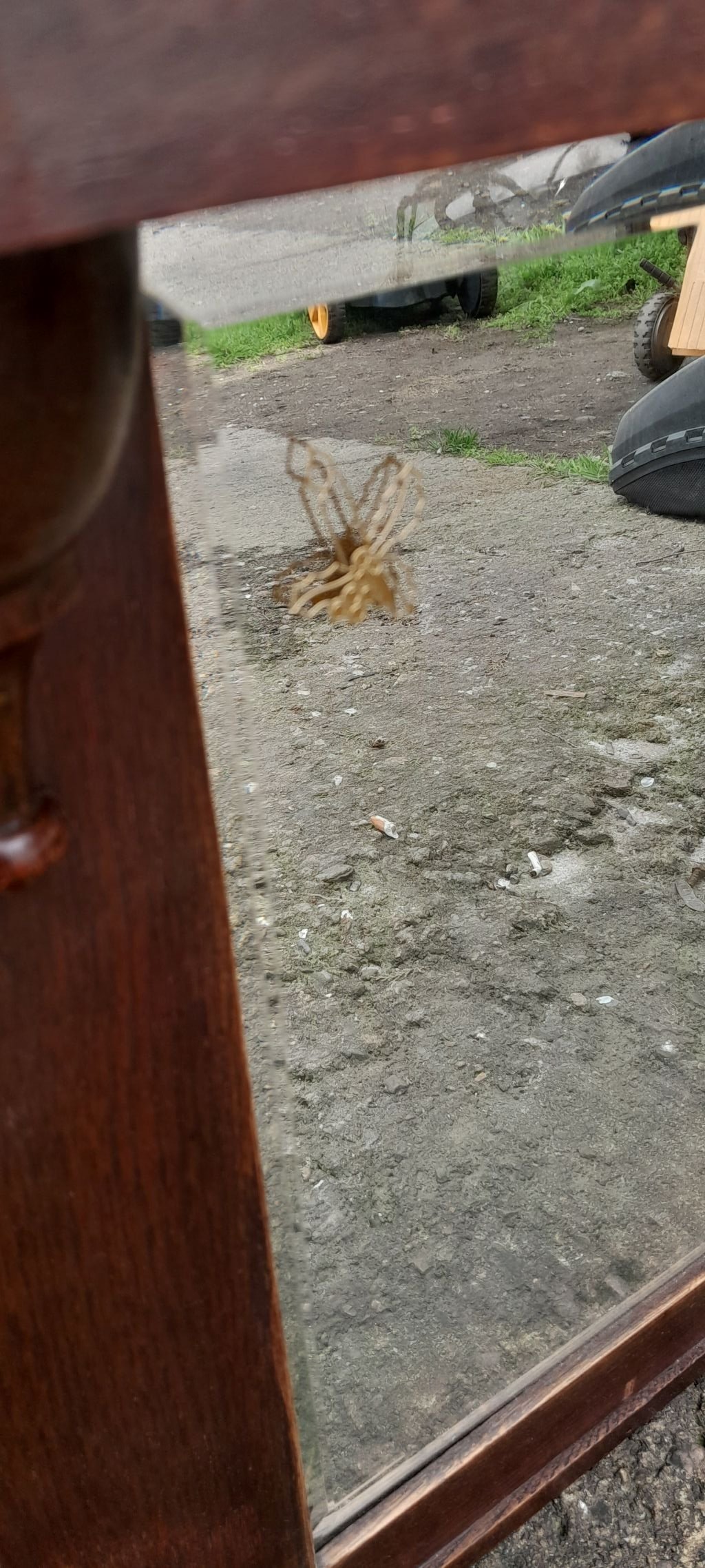 огледала